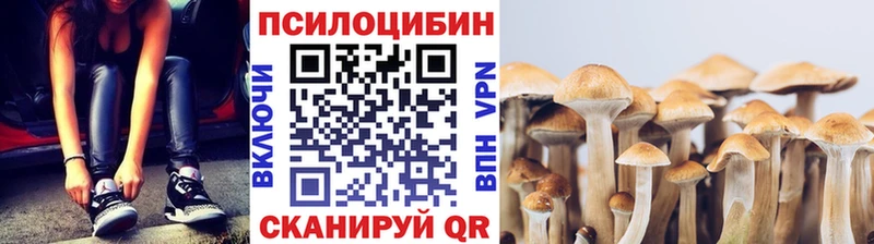 Галлюциногенные грибы Psilocybine cubensis  мега как зайти  Котельнич 