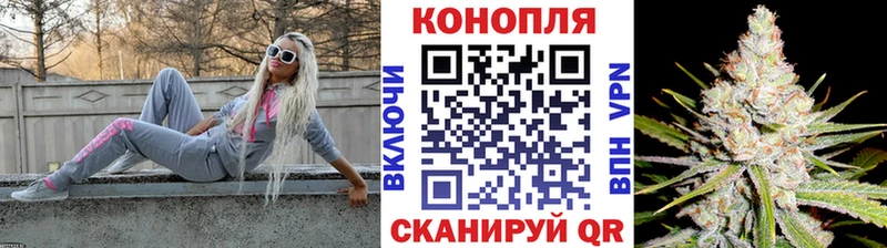Бошки марихуана план  дарнет шоп  kraken маркетплейс  Котельнич 